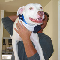 Dozer "flying", courtesy of his Daddy