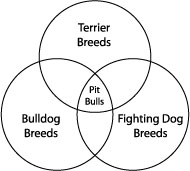 A diagram showing the technical derivation of the term "pit bull"